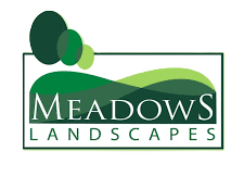 Meadows Landscapes